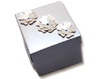 box21